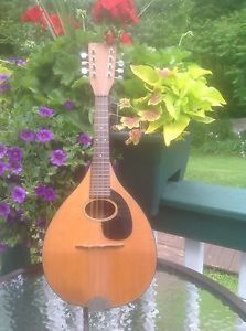 Vintage CF Martin Mandolin
