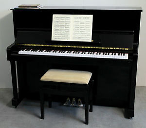Delightful Diapason Upright Piano