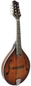 Gold Tone GM-55A Mandolin