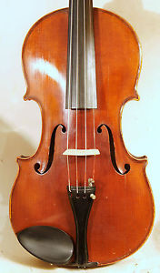 Feine Geige Josef Mueller Schönbach 19.. - fine Schoenbach violin Josef Mueller