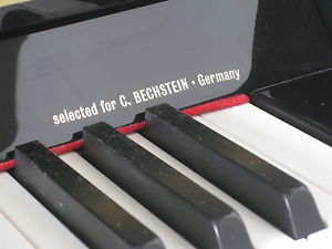 Wilhelm Steinmann by BECHSTEIN von REHA-PIANO-AURICH