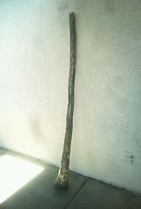 Agave Didgeridoo Didjeridu Ancient Sacred Woodwind Musical Instrument