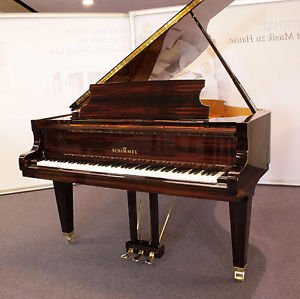 Schimmel Makassar Flügel K189 Makassar