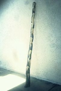 Agave Didgeridoo Didjeridu Ancient Sacred Woodwind Musical Instrument