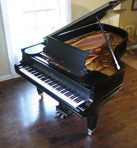 Steinway C 7' 5"  Semi Concert Grand