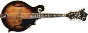 Washburn Model M6SWK Jethro Burns All Solid F-Style Mandolin w/Case - NEW
