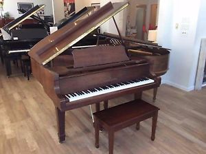 Young Chang G-157 Baby Grand Piano 5'2'' Satin Walnut