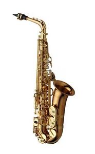 YANAGISAWA Alto Saxophone A-WO2 with case and mouthpiece