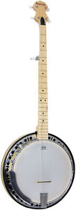 Ashbury AB-65-5E ELETTRICO ACUSTICO Acero BANJO 5 CORDE! Da Hobgoblin Musicale