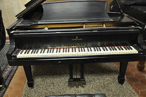 Steinway Model B, 1941,Original Perfect Sound Board, Warm Tone, Ready to Rebuild