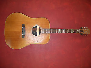 1964 Gibson Southern Jumbo Acoustic/electric Guitar