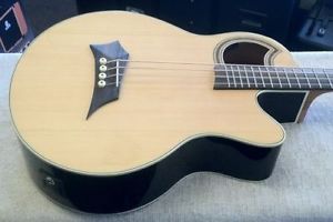 WARWICK ROCKBASS ALIEN STANDARD ACOUSTIC ELECTRIC BASS GUITAR