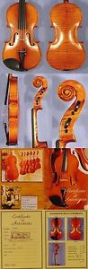 HANDcrafted 15.5" Maestro GLIGA VASILE VIOLA from ViolinsLover