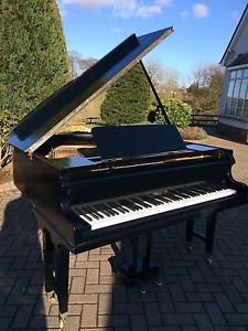 Black Baby Grand Piano By Steinbach