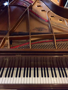 Magnificent 1993 Mason & Hamlin 7ft BB Walnut Satin Semi-Concert Grand