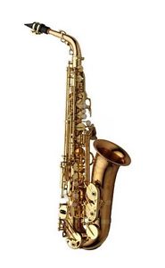 YANAGISAWA Alto Saxophone A-WO20 with case and mouthpiece