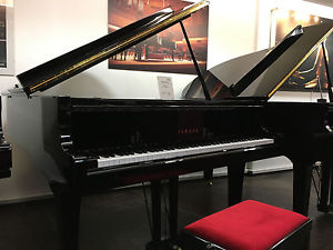 Yamaha Flügel Mod GH-1B, 161cm lang, schwarz poliert