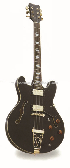 Electric Guitar TPES 30