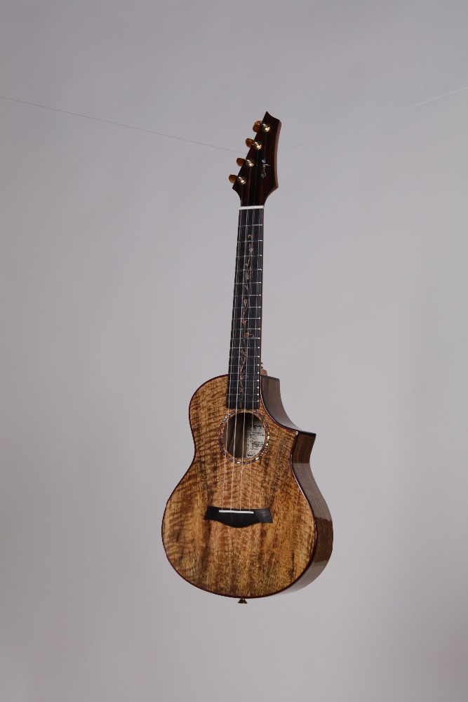 Cutaway new style ukulele help you learn the music