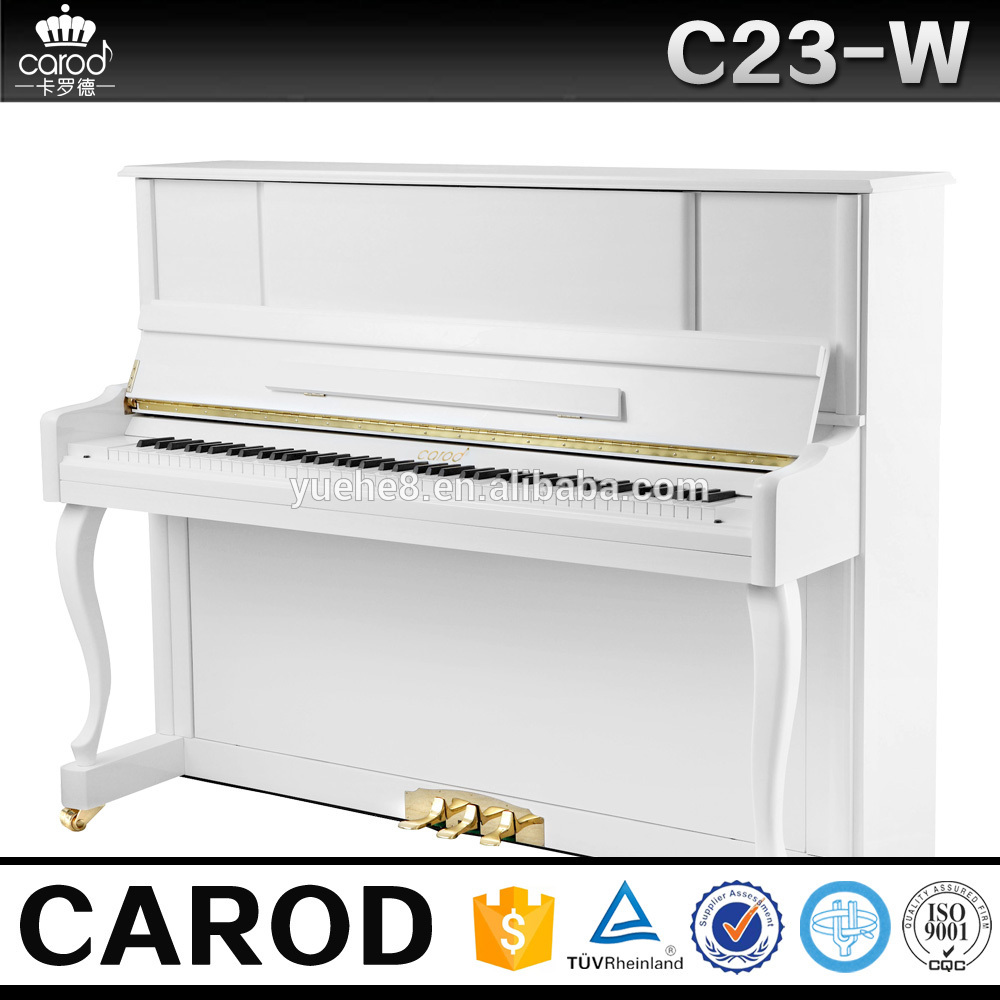 Shanghai Carod laser logo 123cm Upright logo