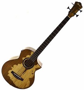 Ibanez Aewb50 Ex