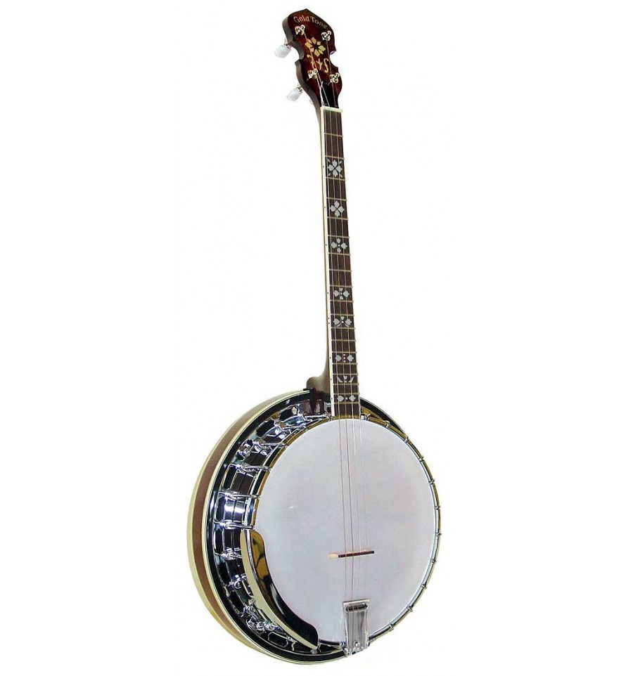Banjo Tenor Special Gold Tone TS-250
