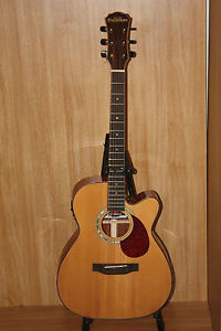 ElectroAcoustic Guitars