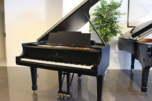 Steinway & Sons Flügel, Mod. M 170, generalüberholt, 5 J. Garantie