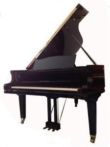 AUGUST FÖRSTER  Flügel 190 Ausstellungsstück