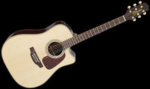 Takamine P5DC Highendige Songwriter Gitarre - Abholpreis möglich