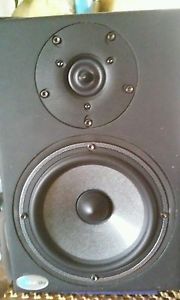 Blue Sky Sat 6.5 Monitor (Focal solo 6 be like) W cone woofers!