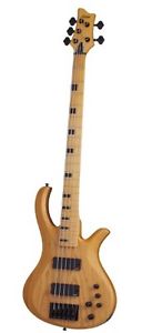 Schecter Riot5 S