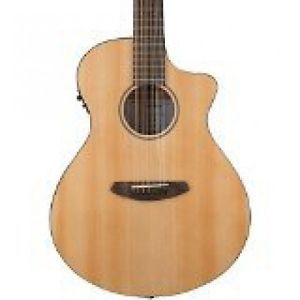 Breedlove PURSUI