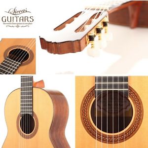 Alan Stewart Wilcox – 2003 Meistergitarre guitar