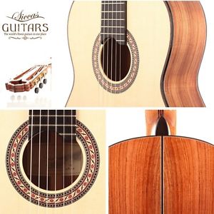 Armin Hanika – HE Lattice 2016 Meistergitarre