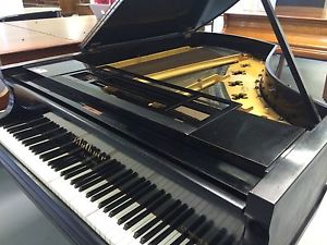 Bluthner Grand Piano