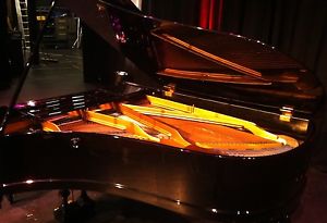 Blüthner Aliquot Boudoir Grand Piano - Fully reconditioned - 5 yr guarantee