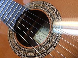 2006 Cordoba 45R Nylon String Classical Guitar (Cedar/Rswd) w/Humicase