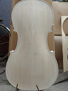 White Cello 4/4 size  flamed maple back  old spruce top unvarnished cello