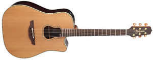 Takamine Signatu