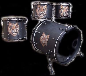 Drum Shell Set von bcp "Unikat" 22/10/12/14 Tom Tom