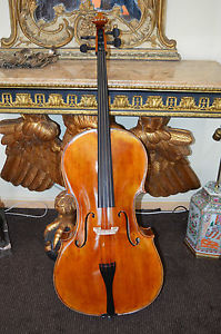 Celli
