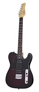 Schecter Pt Cust