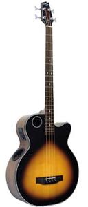 Boulder Creek EBR1-TB4 Acoustic Bass | NEU