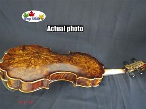 Baroque style bird's eyes SONG Brand Maestro 15 1/2"viola rich big sound #11116