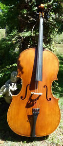 cello with case