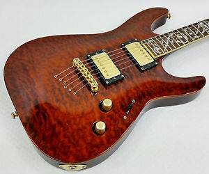 Schecter C-1 Diamond Series "Vine of Life"  UVP: 1.420,€