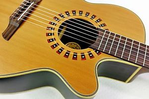 Takamine NP 65C  / Pickup / Case / „Hybrid-Instrument“ / SEHR SELTEN