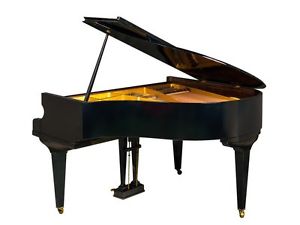 Tesoro Nero - High Gloss Black Baby Grand Piano - Summer Sale 20% off!