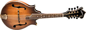 Washburn M117SWK